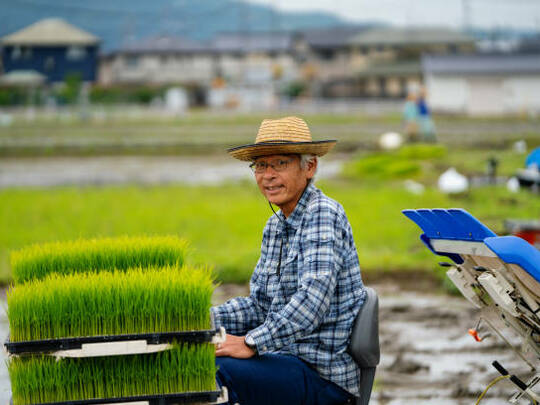 山形県産 ひとめぼれ 令和7年産:精米