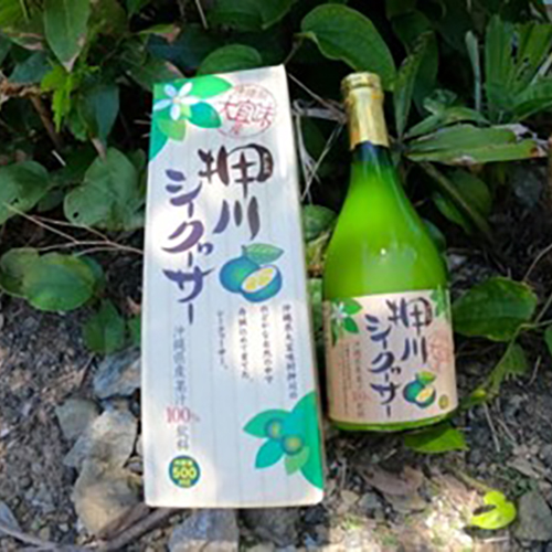 押川シークヮーサー