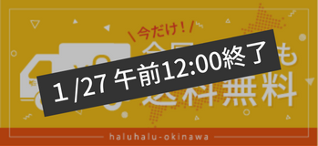 送料無料キャンペーン終了